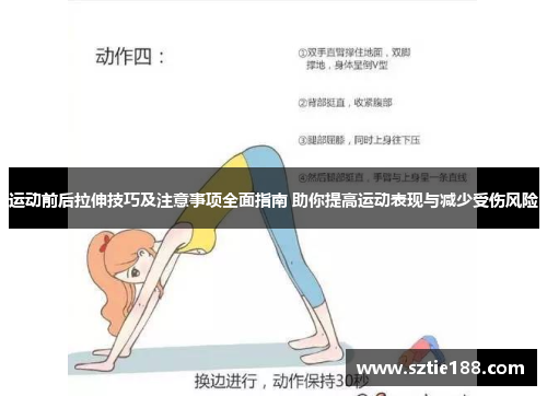 运动前后拉伸技巧及注意事项全面指南 助你提高运动表现与减少受伤风险