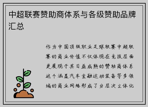 中超联赛赞助商体系与各级赞助品牌汇总